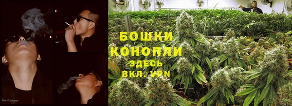 твердый Кедровый