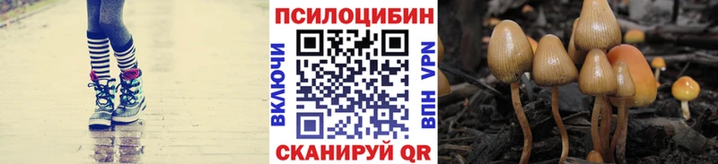 Псилоцибиновые грибы мицелий  Ковылкино 
